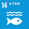 14: 水下生物