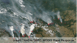 衛星画像で見る林野火災