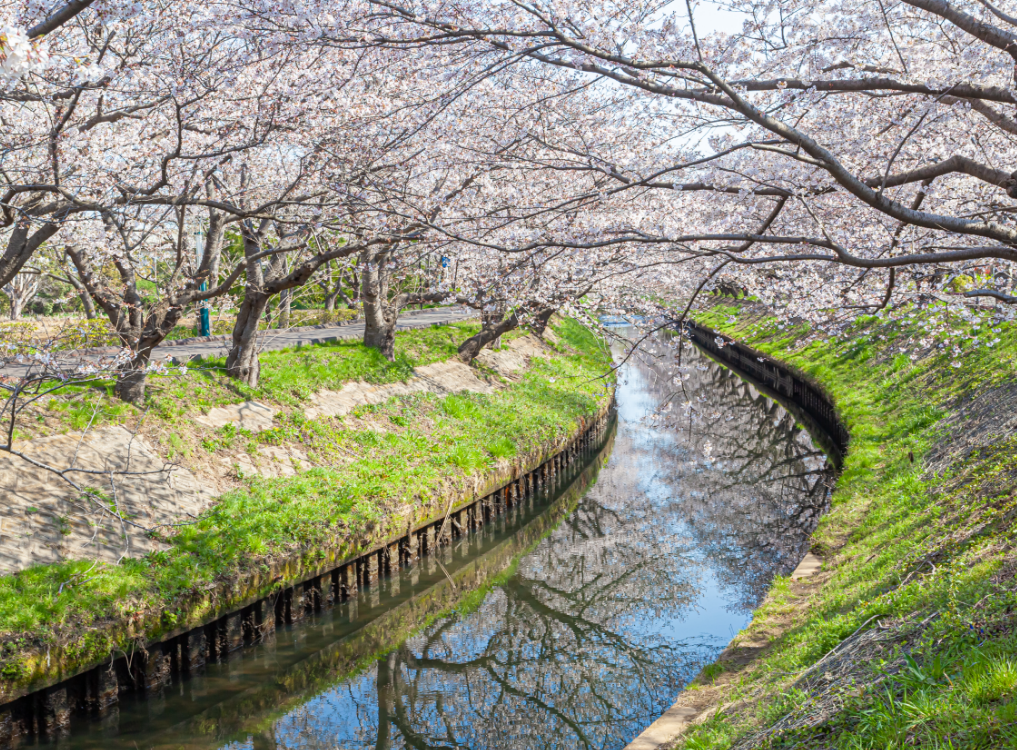拠点での暮らし風景画像